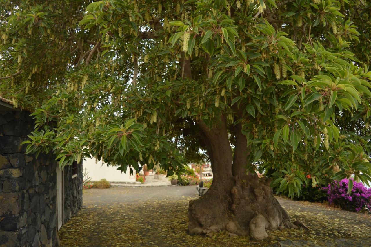 Casona Rural Los Melindros Los Quemados Exterior foto